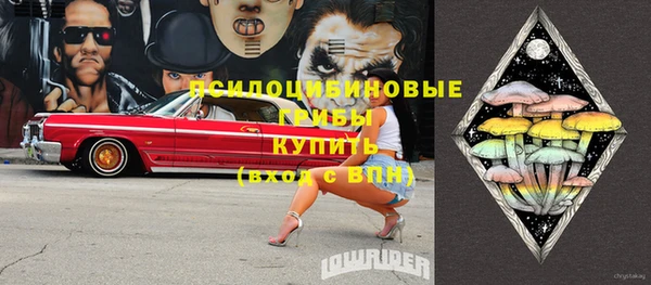 спайс Корсаков