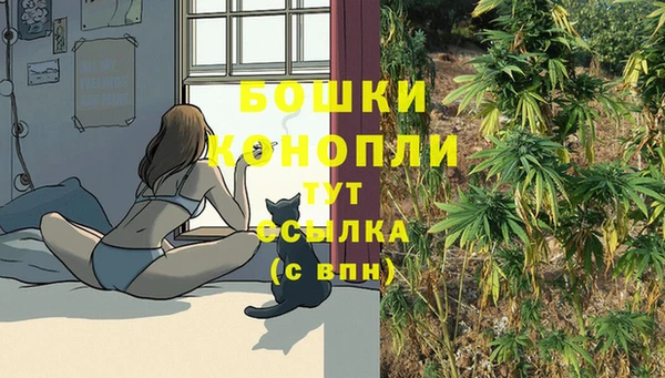 крисы Костерёво