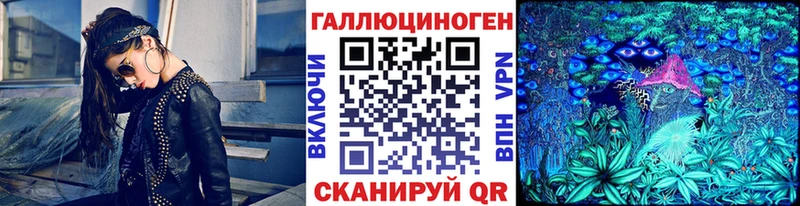 Псилоцибиновые грибы Psilocybine cubensis  Купить закладки  Новочебоксарск 